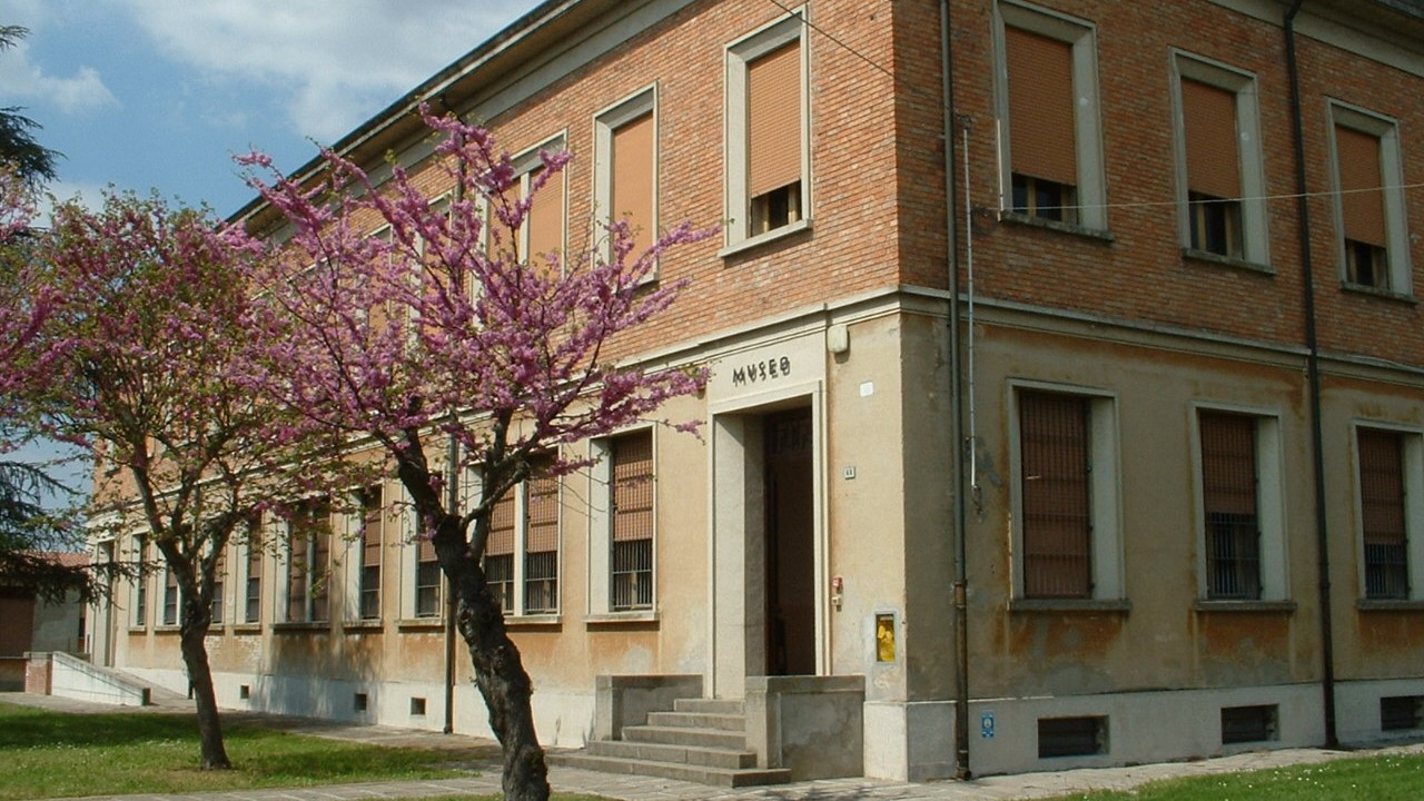 Museo Civico Archeologico di Castelnovo Bariano